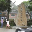 개금약초