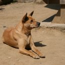 연가리맑은터 이미지