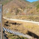 금수문화공원야영장(4) 이미지