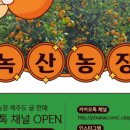 녹산농장 네이버블로그