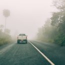 카매니지먼트 이미지