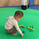 서초짐보리