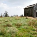 일성목장 이미지