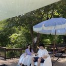 아늑서종 이미지