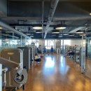 자마이카 휘트니스, 필라테스 화곡점 이미지