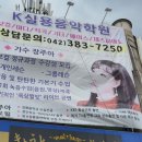 라이징선실용음악학원 네이버블로그