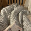 뚜벅이 하우스 이미지