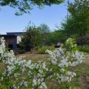 로즈마리 펜션 이미지