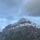 스위스샬레 | [스위스] 그린델발트 샬레 예약 후기 / 할머니 샬레예약 실패자들 꿀팁