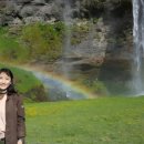 서울 강남 명상 센터, 도전하는 지금이 행복합니다(ft.빛명상) 이미지