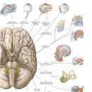 운동케어센터 이미지