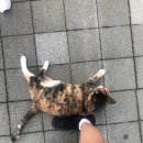 거연경로당 이미지