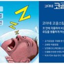 드림에어(주)