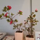 부평우체국 이미지