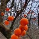 월악산자연농장 이미지