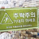 사인몰