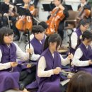 가야금(소수정예) 이미지