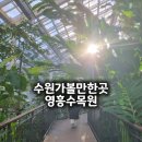 효원가든 | 수원 영흥수목원 ㅣ 영통 가볼만한곳 산책하기 좋은 수목원 후기 (입장료·주차 안내)