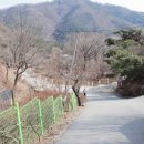 장흥약수펜션 이미지