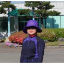 주암댐 전망대 이미지