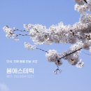 더해봄에스테틱 이미지