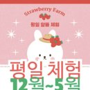 한주 꿀벌 농장 이미지