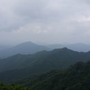 수도산자연휴양림 Daum카페