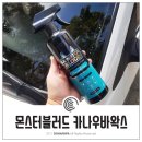 몬스터손세차