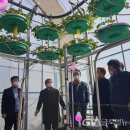 울릉팜