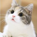 힐링중고가전