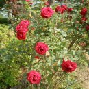 민속공원 이미지