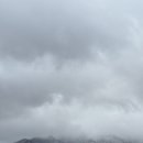 마이구미매점 이미지