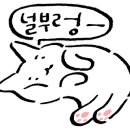 상원 손짜장