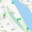미사강변곤드레밥집 | [봄 풍경] 살구꽃길 2km, 벚꽃길 2km, 개나리꽃, 산수유꽃 "미사뚝방길 &amp; 미사경정공원"