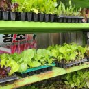 경신농약사 이미지