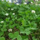 무한천농장 이미지