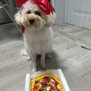 오늘도 맛있개 이미지