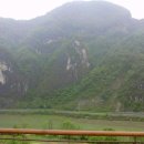 동강시스타 이미지