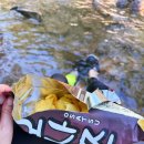 이마트24안양예술공원로점 | 서울근교 계곡 안양예술공원 계곡 주차 애견동반 물놀이 후기