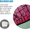 진주더프라임어린이집 이미지