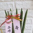 운암애견 이미지