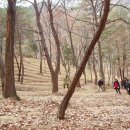 풀꽃농장 이미지