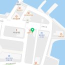 은하수펫샵 | 건강하고 활기차 보여서 안심 영종도포메라니안 강아지 판도라독