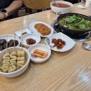 청림물회 | 포항 청림 오천 문덕 맛집 덕수물회 참가자미 물회 추천