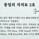 동일리 지석묘 2호 이미지