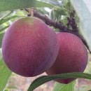 후레쉬팩토리 이미지