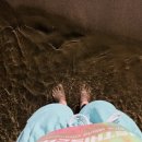 양양 바다뷰 이미지