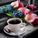 다남공원 이미지