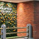 멍베스트 | 제주공항근처숙소 베스트웨스턴 온돌방 1박 리얼 후기