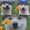 희진숯불갈비 | 6월 일상 _ 4